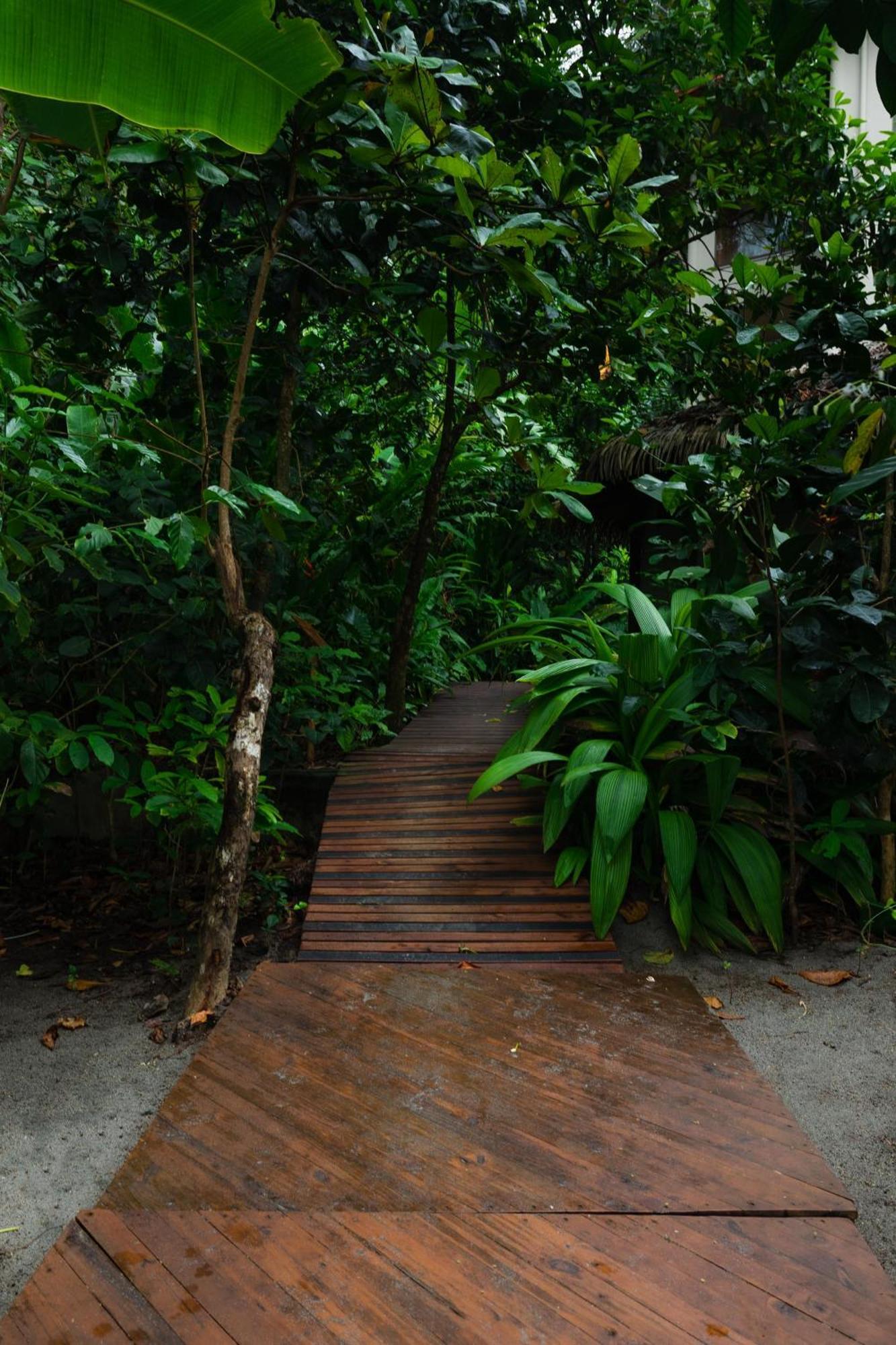 Arenas Del Mar Beachfront & Rainforest Resort Member Of The Cayuga Collection 마누엘안토니오 외부 사진